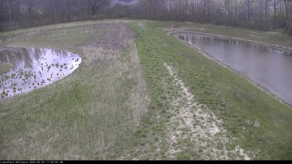 Cell 4 to Basin_24-04-20_11-58-06-34