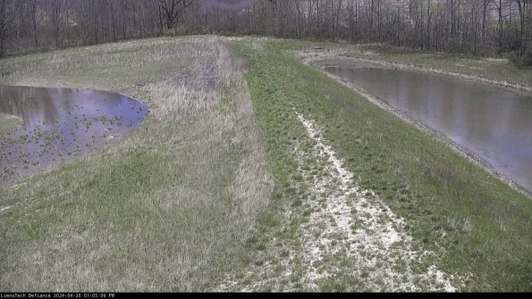 Cell 4 to Basin_24-04-20_13-05-07-31