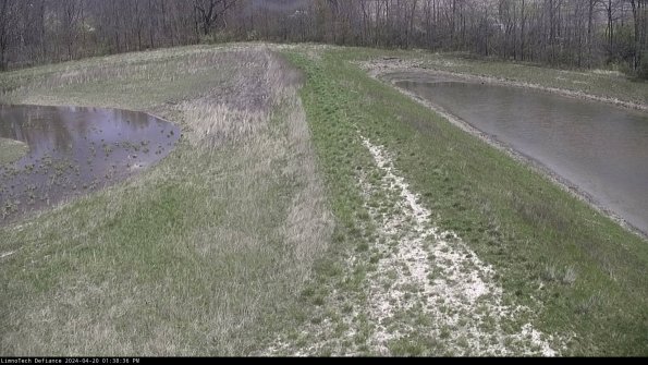 Cell 4 to Basin_24-04-20_13-38-37-36