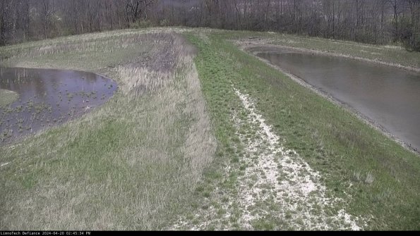 Cell 4 to Basin_24-04-20_14-45-35-33