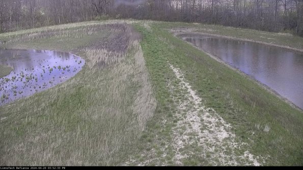 Cell 4 to Basin_24-04-20_15-52-34-33