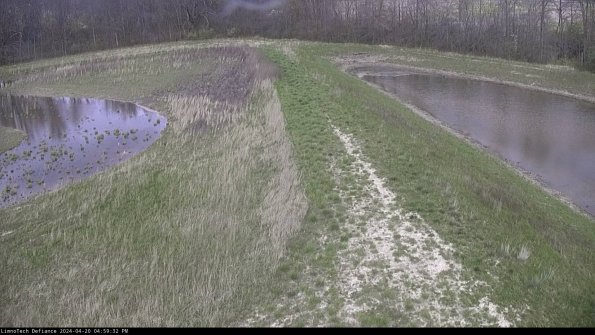 Cell 4 to Basin_24-04-20_16-59-33-37