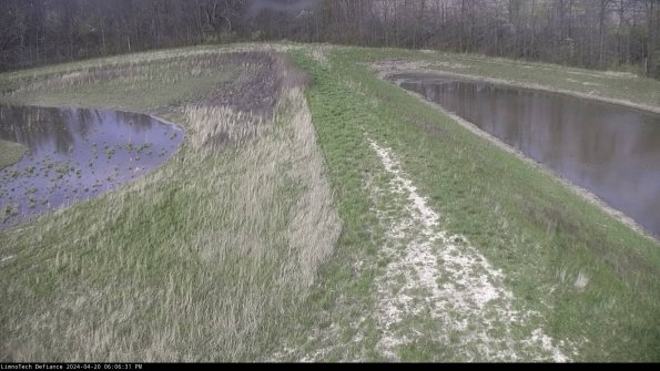 Cell 4 to Basin_24-04-20_18-06-32-34