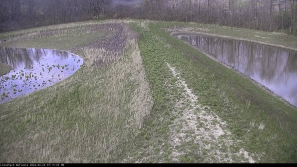 Cell 4 to Basin_24-04-20_19-13-31-33