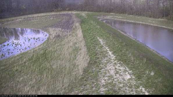 Cell 4 to Basin_24-04-20_19-47-00-35