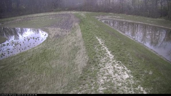 Cell 4 to Basin_24-04-20_20-20-30-33