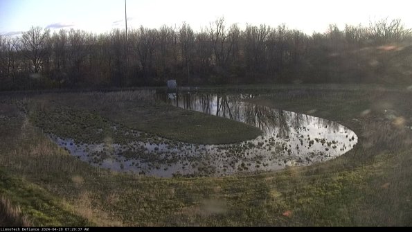 Cell 4_24-04-20_07-29-38-34