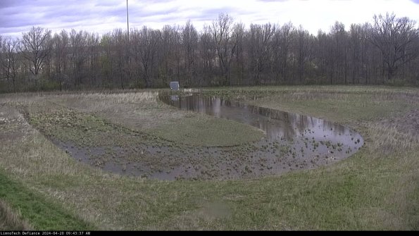 Cell 4_24-04-20_09-43-38-34