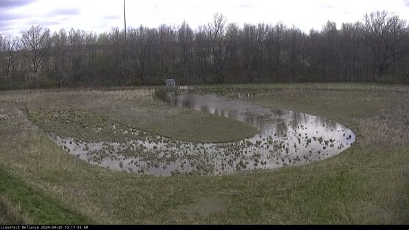 Cell 4_24-04-20_10-17-07-32