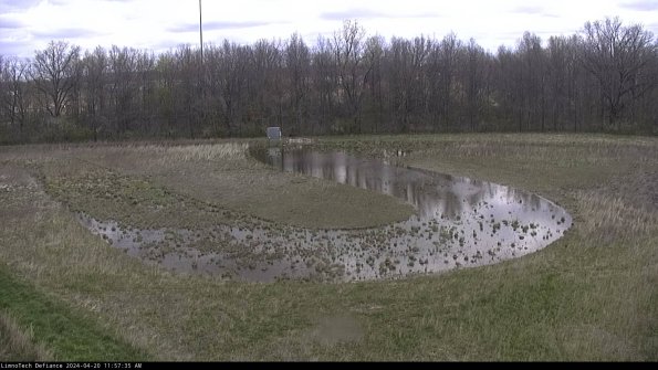 Cell 4_24-04-20_11-57-36-31