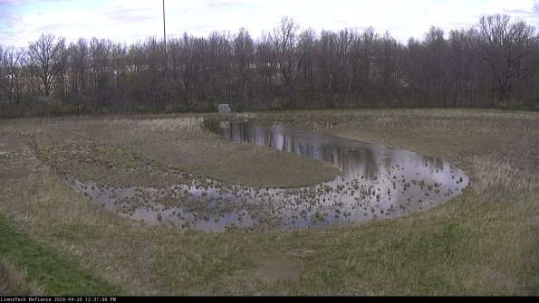 Cell 4_24-04-20_12-31-07-33