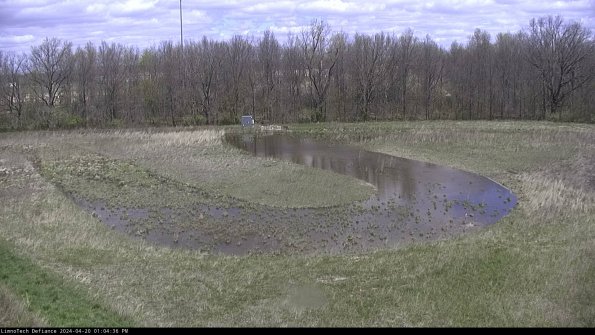 Cell 4_24-04-20_13-04-37-31