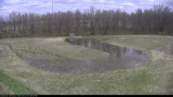 Cell 4_24-04-20_13-38-07-33