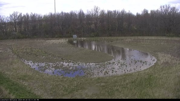 Cell 4_24-04-20_14-11-36-31