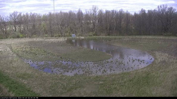 Cell 4_24-04-20_14-45-05-33