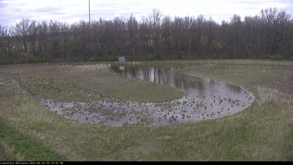 Cell 4_24-04-20_15-18-34-32