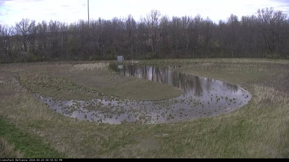 Cell 4_24-04-20_16-59-03-34