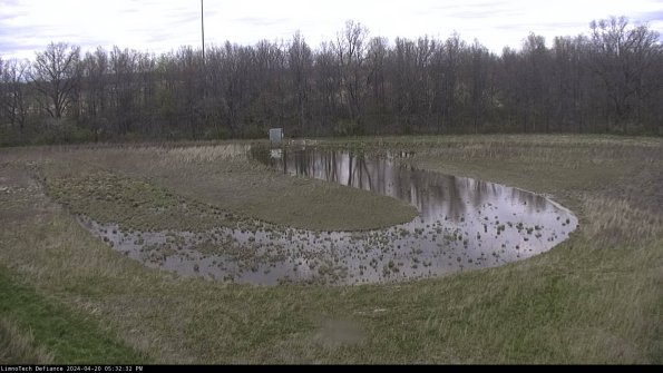 Cell 4_24-04-20_17-32-33-32