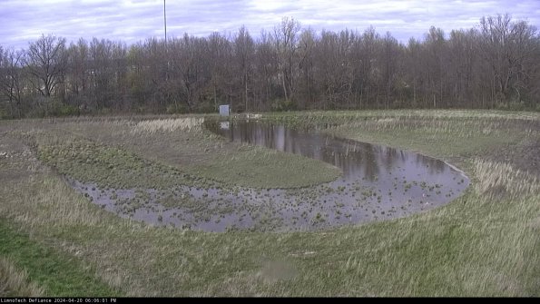 Cell 4_24-04-20_18-06-02-31