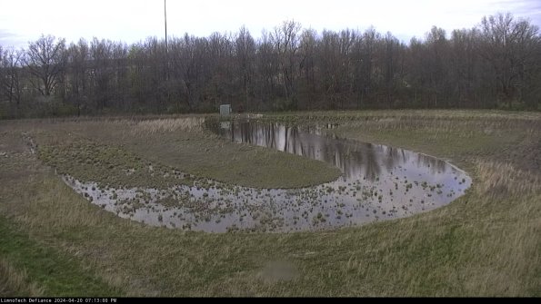 Cell 4_24-04-20_19-13-01-34