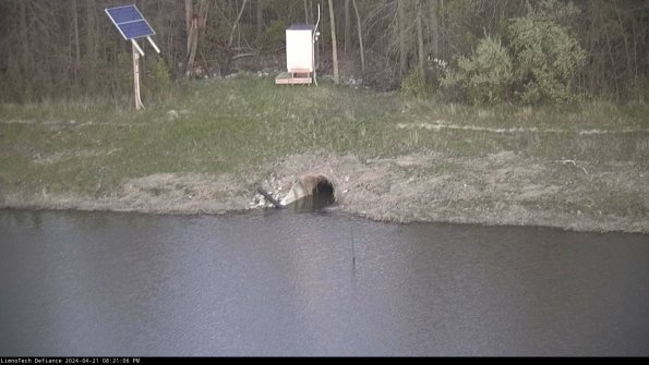 Basin Inflow_24-04-21_20-21-06-48