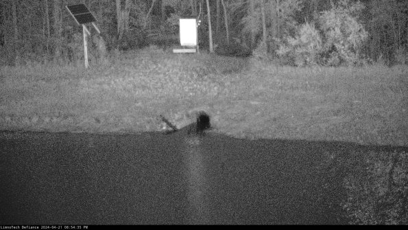 Basin Inflow_24-04-21_20-54-36-33