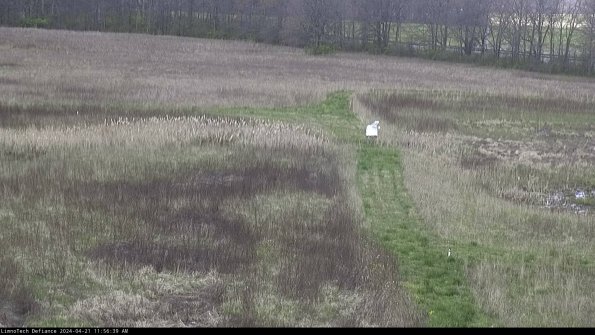 Cell 1 to 2_24-04-21_11-56-40-34