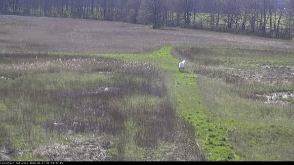 Cell 1 to 2_24-04-21_16-58-08-34