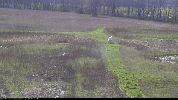 Cell 1 to 2_24-04-21_17-31-37-32