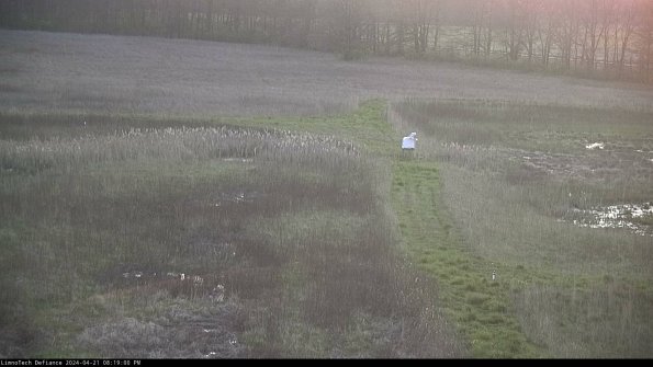 Cell 1 to 2_24-04-21_20-19-01-32