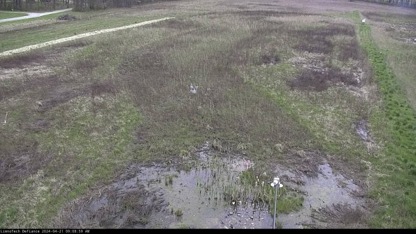 Cell 1_24-04-21_09-09-00-34