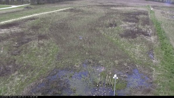 Cell 1_24-04-21_11-56-26-32