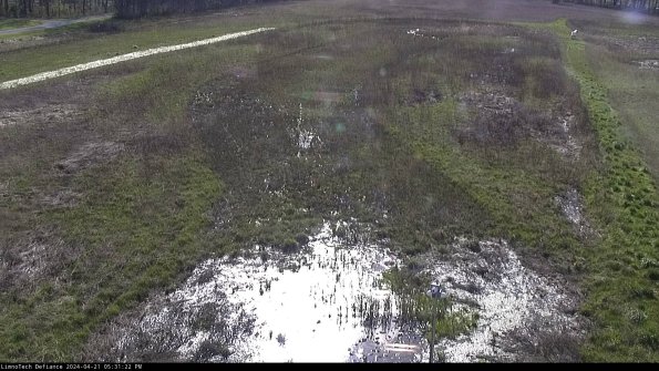 Cell 1_24-04-21_17-31-23-31