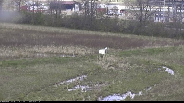 Cell 2 to 3_24-04-21_11-57-06-43