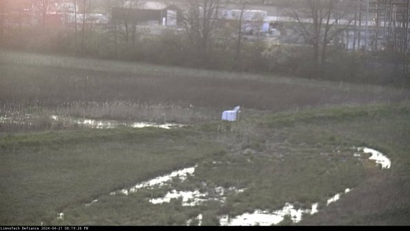 Cell 2 to 3_24-04-21_20-19-27-42