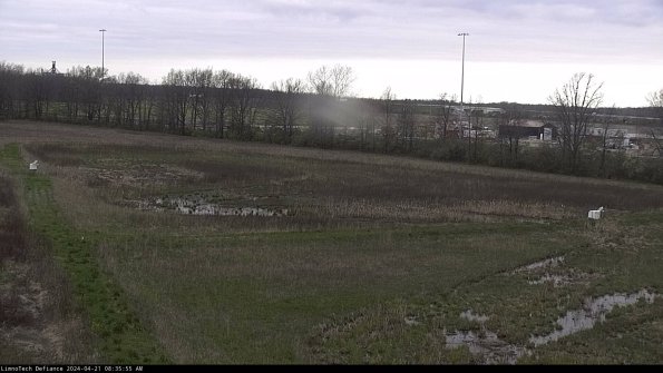 Cell 2_24-04-21_08-35-56-36