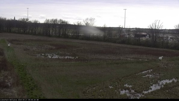 Cell 2_24-04-21_09-09-27-34