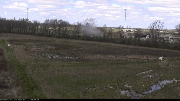 Cell 2_24-04-21_11-56-53-38