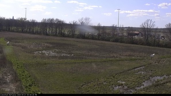 Cell 2_24-04-21_16-58-21-35