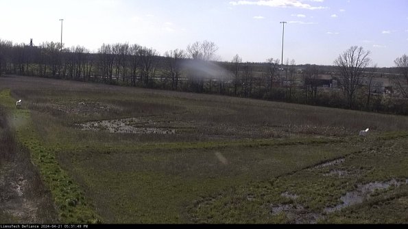 Cell 2_24-04-21_17-31-50-33