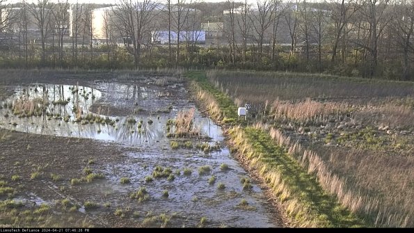 Cell 3 to 4_24-04-21_19-46-27-31