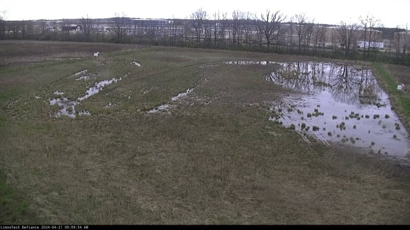 Cell 3_24-04-21_09-09-54-53