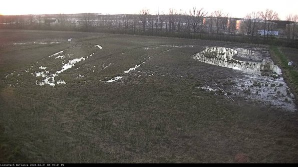 Cell 3_24-04-21_20-19-42-33