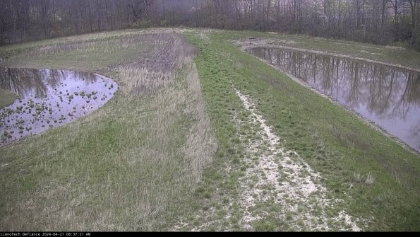 Cell 4 to Basin_24-04-21_08-37-22-31