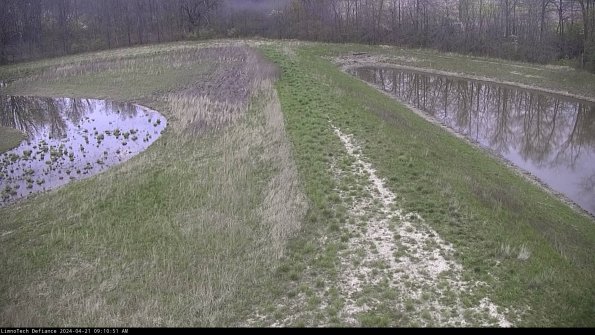 Cell 4 to Basin_24-04-21_09-10-52-32