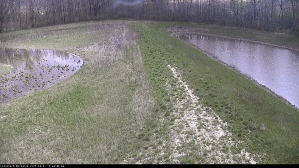 Cell 4 to Basin_24-04-21_11-24-49-35