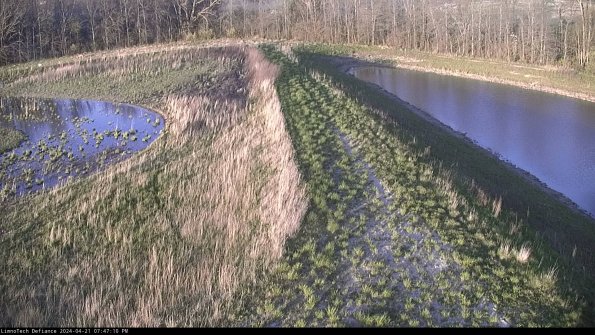 Cell 4 to Basin_24-04-21_19-47-11-32