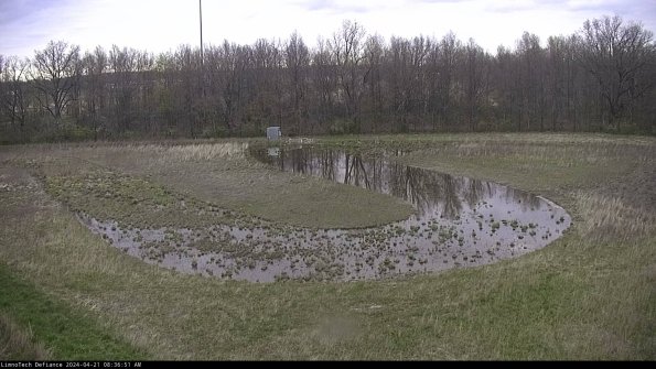 Cell 4_24-04-21_08-36-52-35