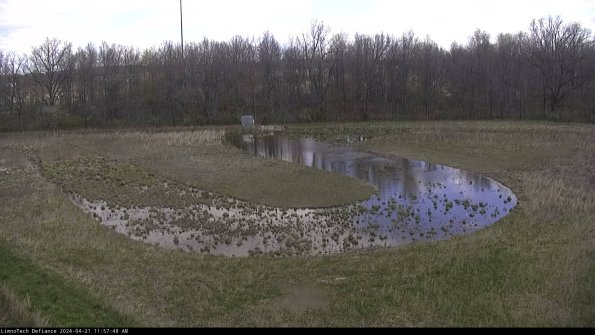 Cell 4_24-04-21_11-57-49-34