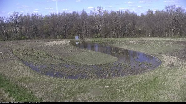 Cell 4_24-04-21_16-59-17-34